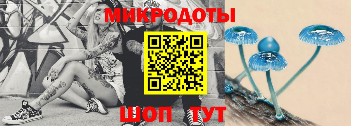 Псилоцибиновые грибы MAGIC MUSHROOMS Гулькевичи