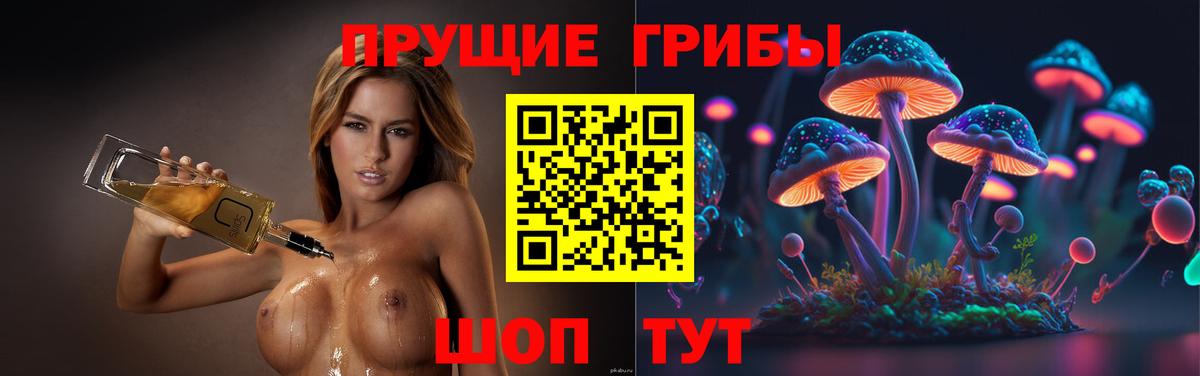 Гулькевичи  Псилоцибиновые грибы Psilocybine cubensis  Вход с VPN 